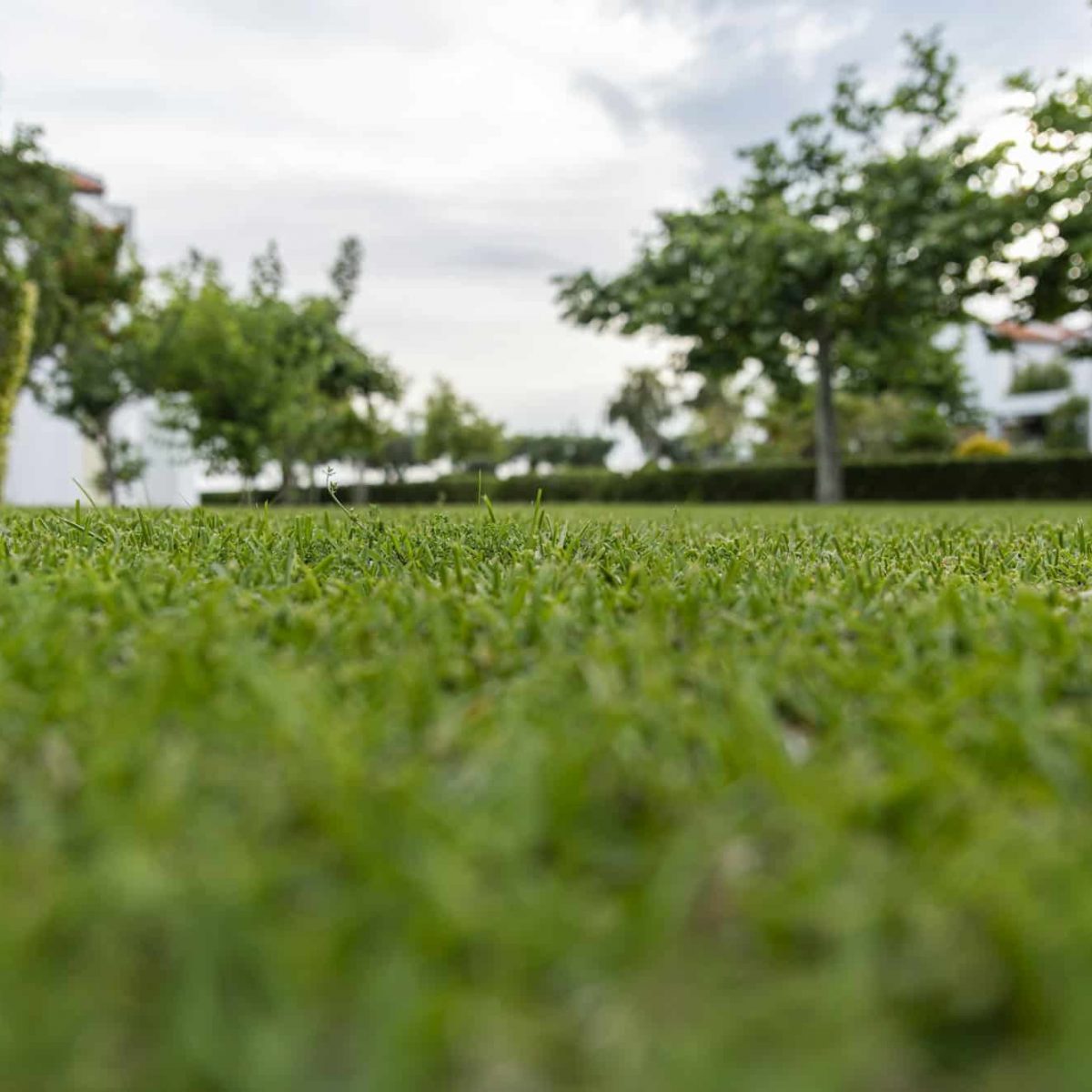 Gartenbau Goslar