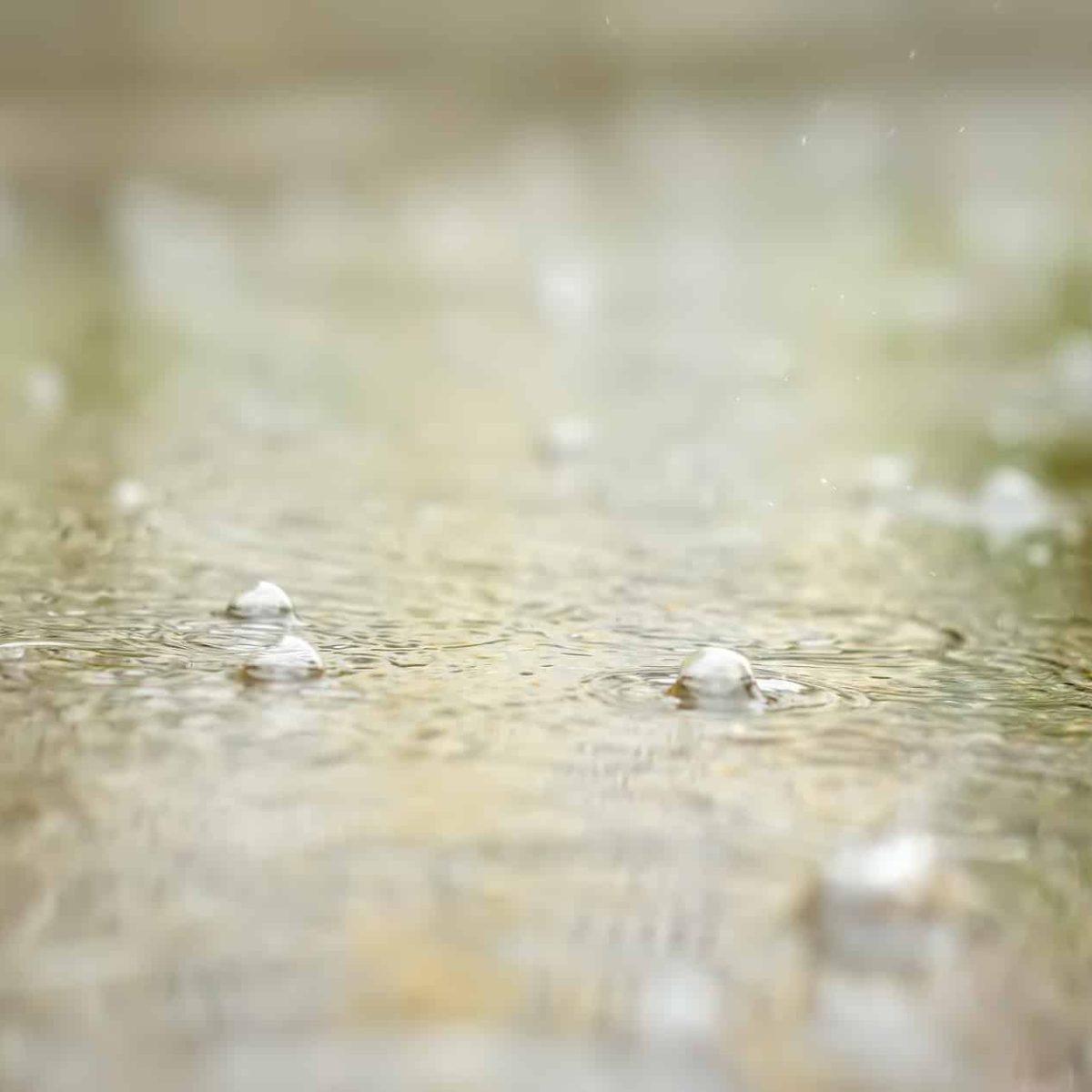 Regenwasser Gifhorn