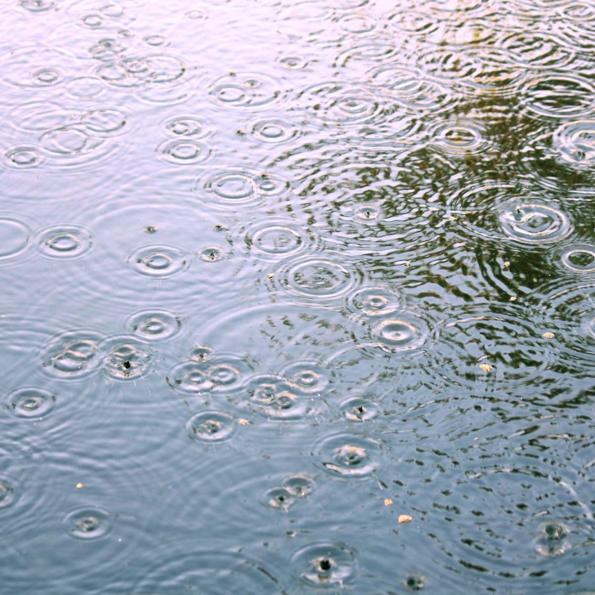 Regenwasser Wolfenbüttel